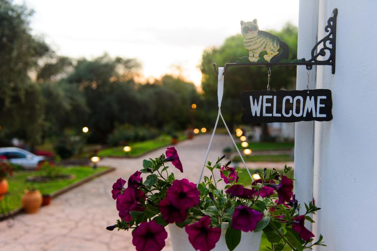 Nefeli Studios - B&B Párga