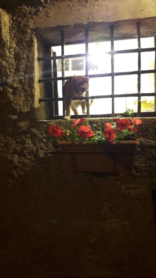 l'arco di Sersa - B&B Riccò del Golfo di Spezia
