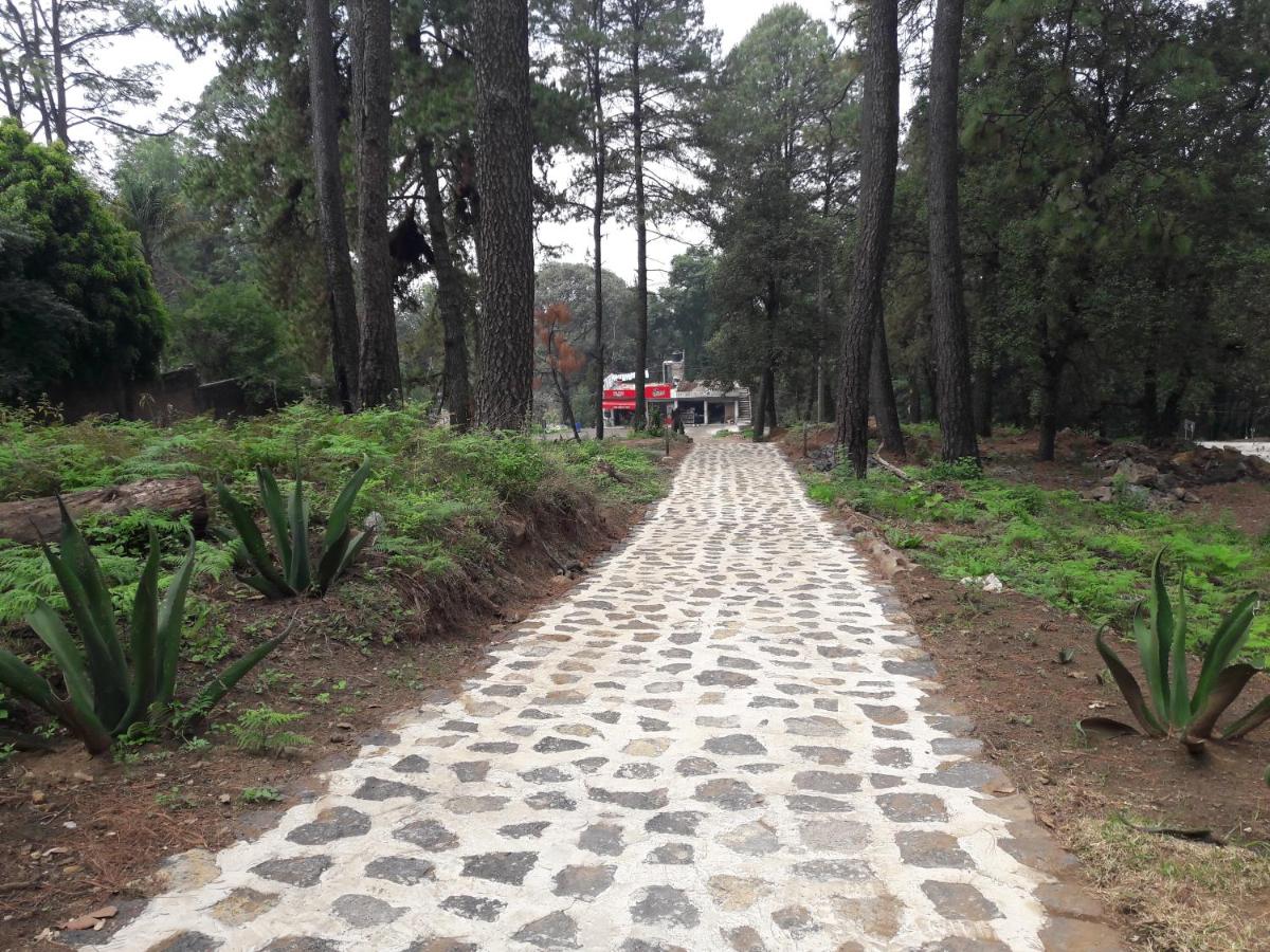 Hotel Villas Monteli Suites Cuernavaca - B&B Cuernavaca