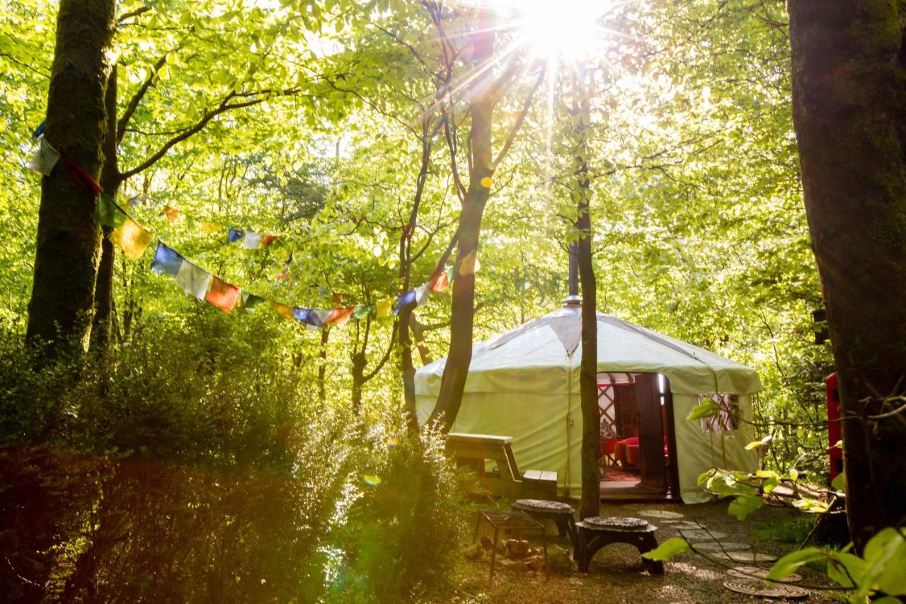 B&B Carmarthen - Larkhill Tipis and Yurts - Bed and Breakfast Carmarthen