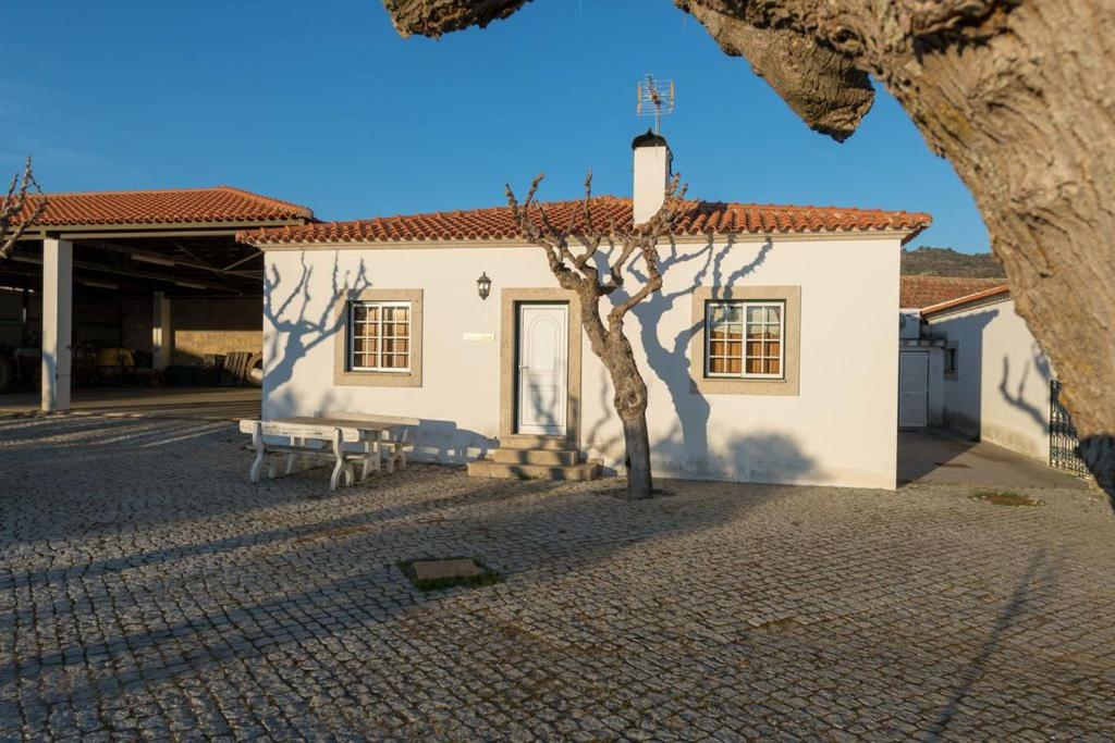 Quinta Sta Luzia Carrascal - Bed and Breakfast Vila Flor