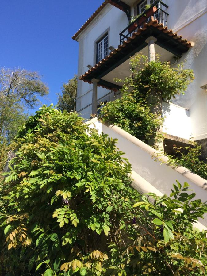 Villa Branca Jacinta