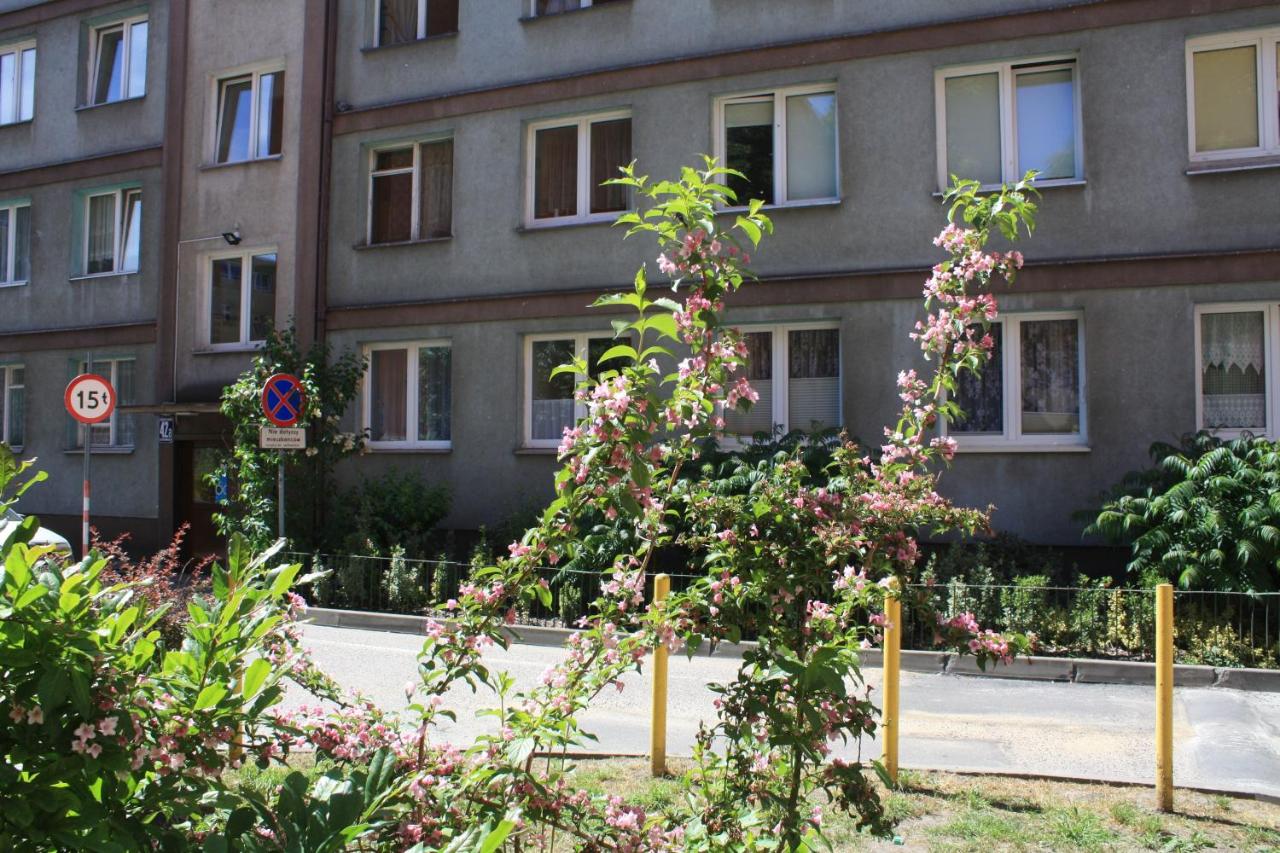 Centrum - B&B