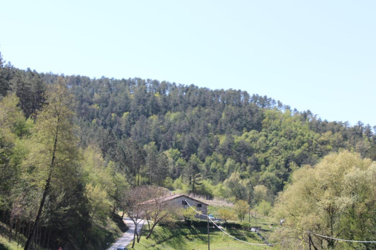 B&B Paradiso - Bed and Breakfast
