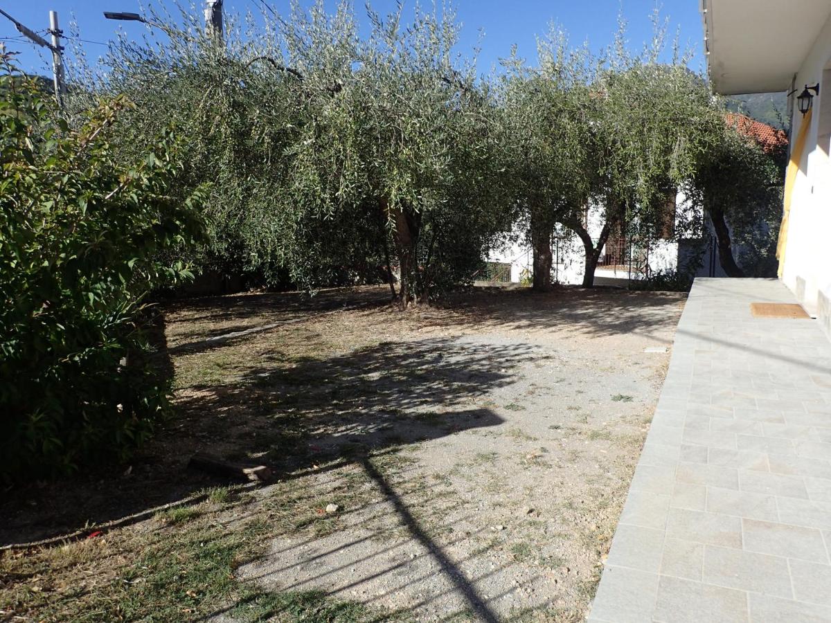 Casetta tra gli Ulivi vicina al Mare - B&B