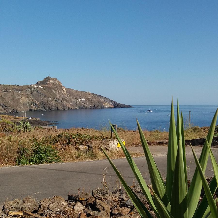 Dammuso Surya Il cappero monolocale - B&B Pantelleria