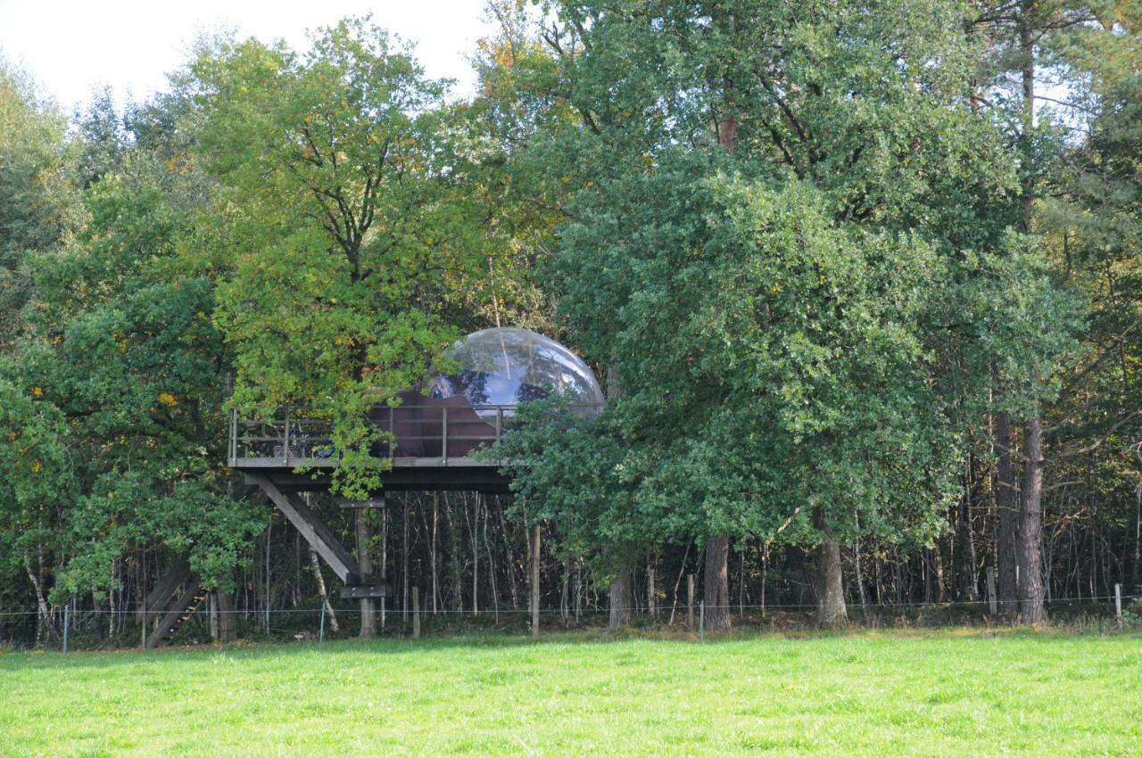Sphair perchée - Bed and Breakfast