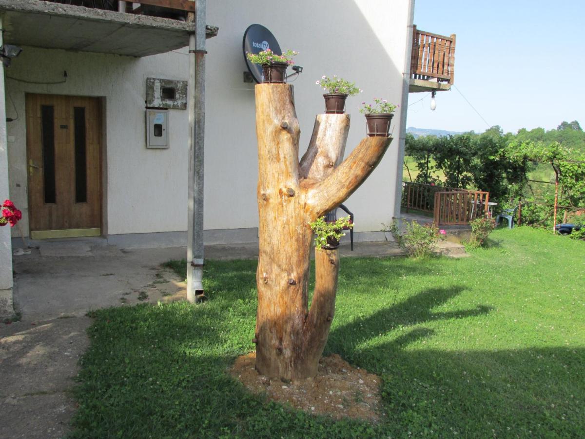 Country House Roman - B&B Doboj
