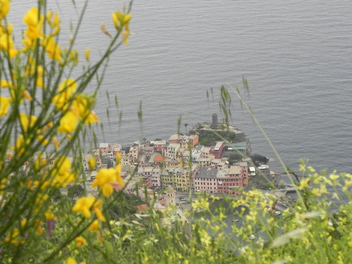 Cà gialla de Drignana - Ferienwohnung