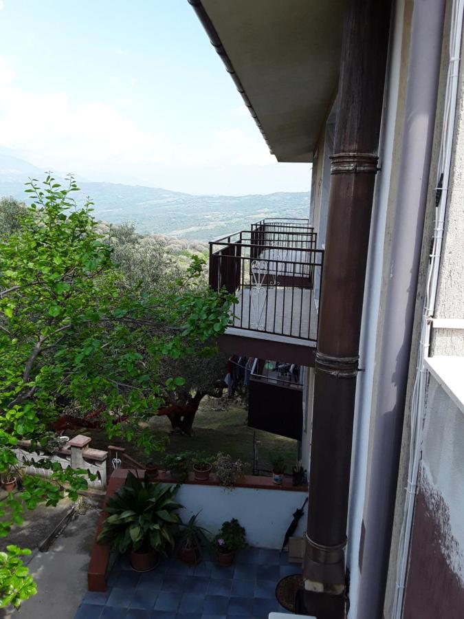 La Collina su Palinuro - Ferienwohnung