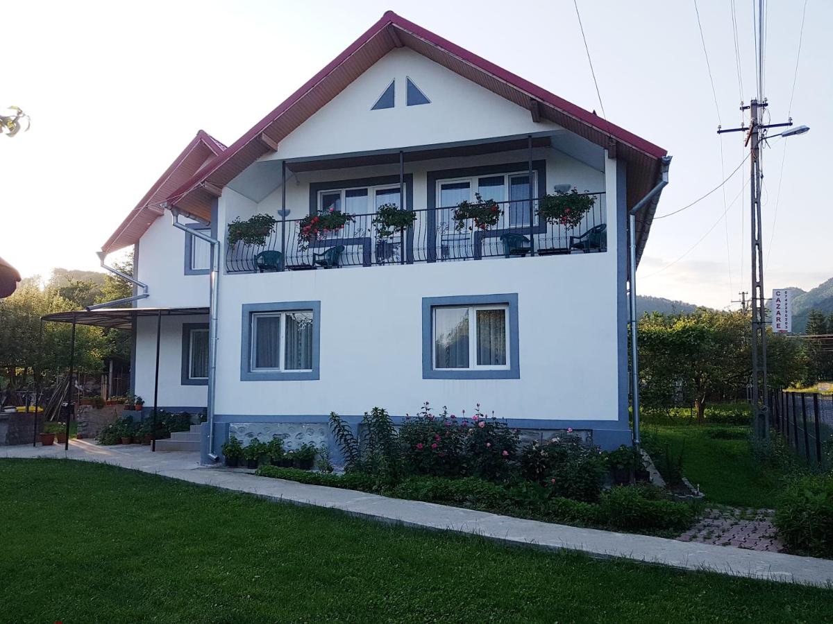 Floare de colt - B&B
