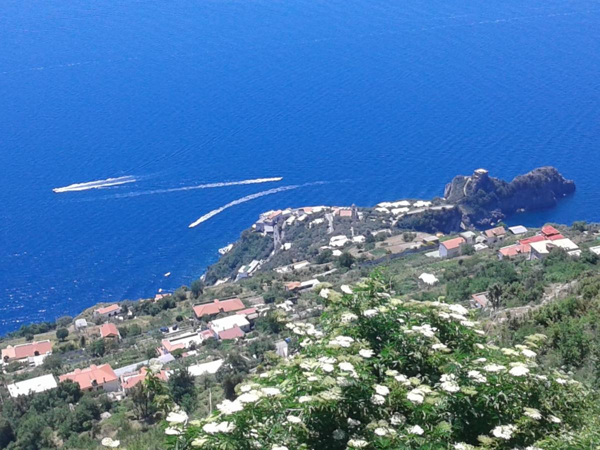 Casa Panoramica - Bed and Breakfast