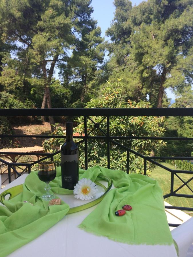 Villa Elani - B&B Kassandra