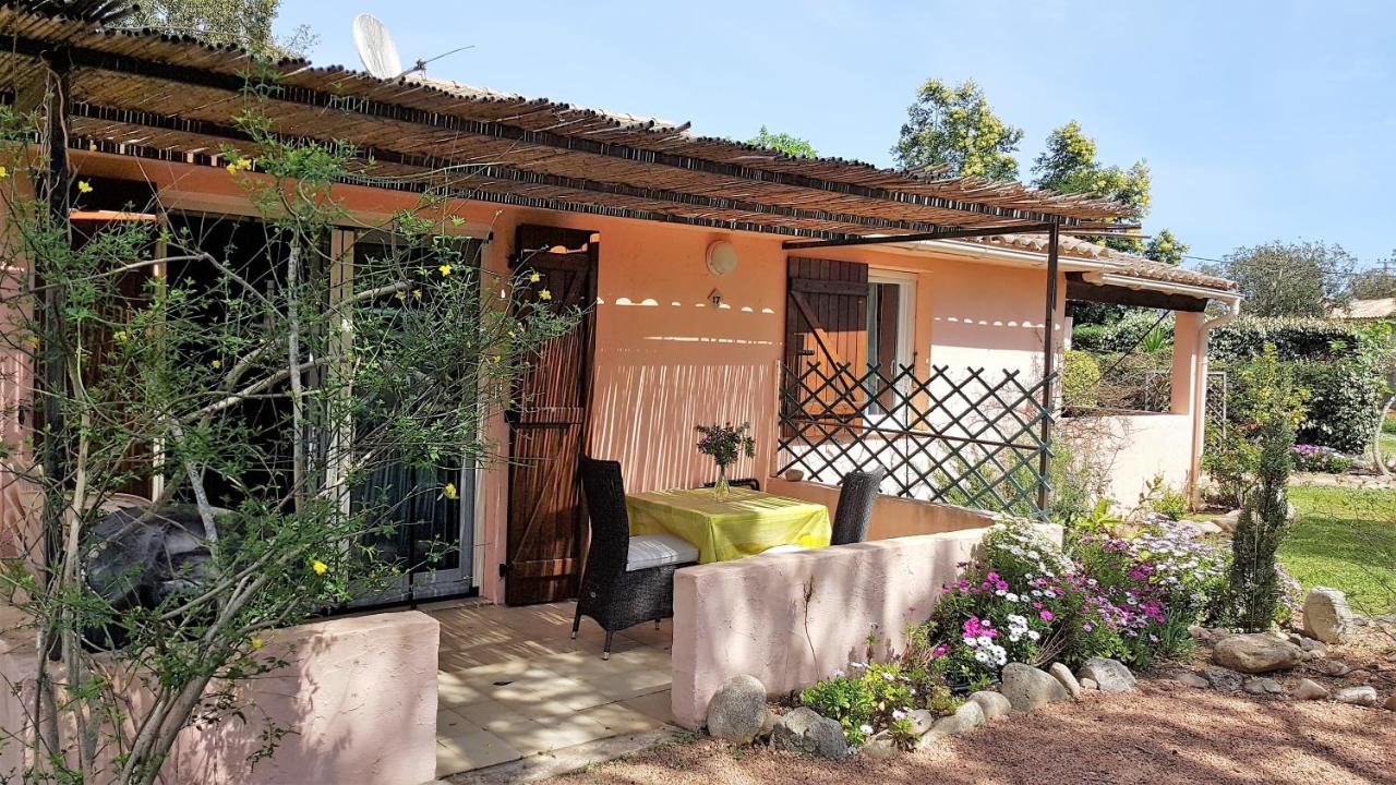 Studio with Garden View
