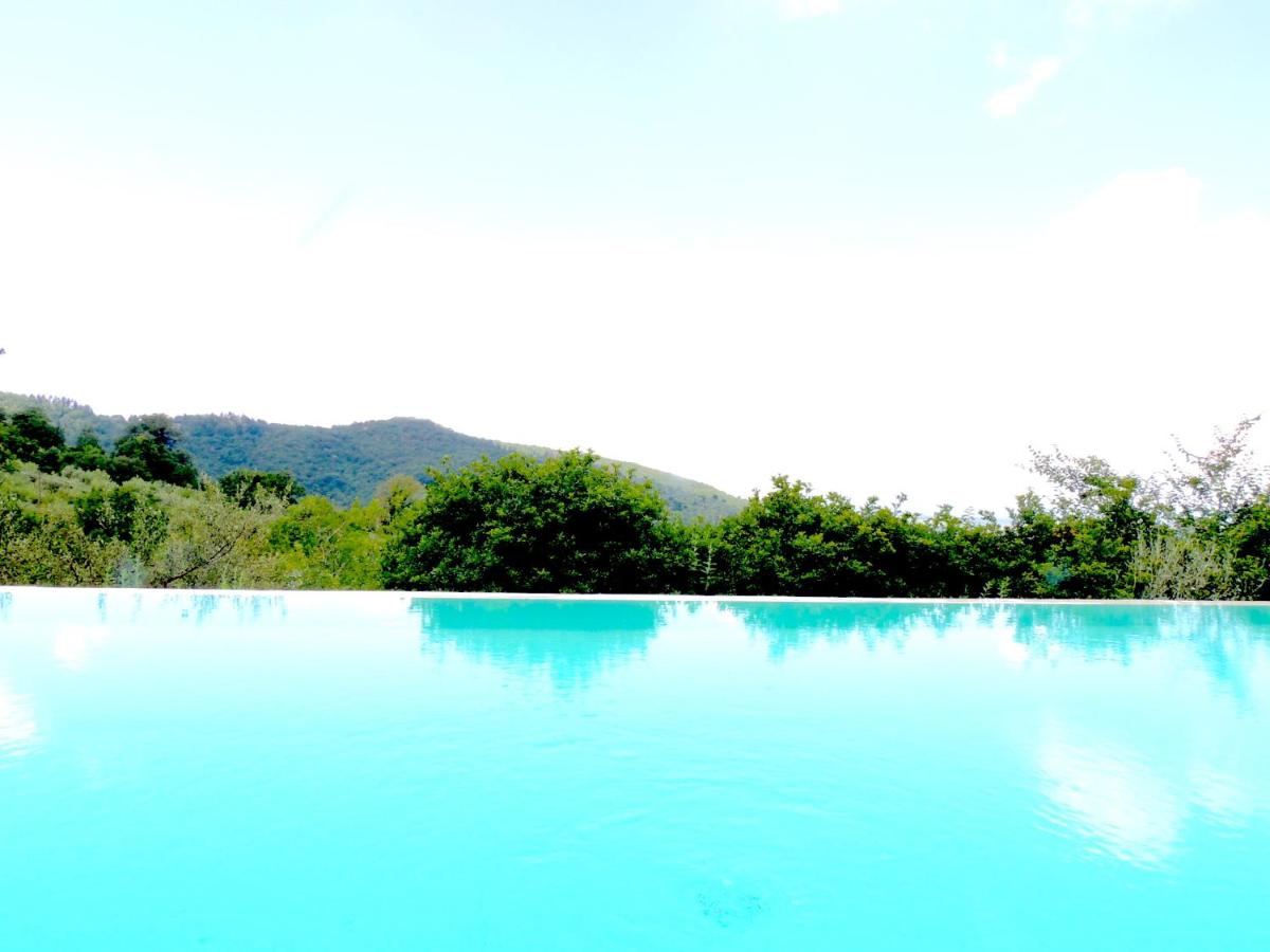 B&B Paciano - Tartagli Luxury Villa with Pool - a Fontanaro Property - Bed and Breakfast Paciano