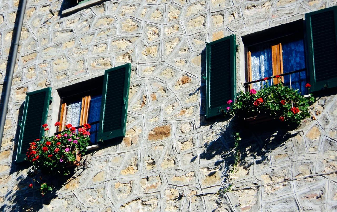 Andante appartamenti - Chambres d’hôtes