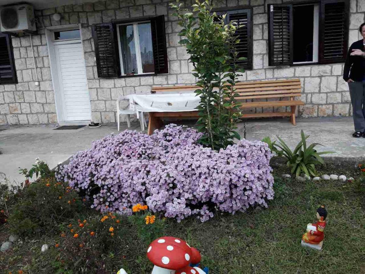 Apartment Dragone - B&B Dulcigno