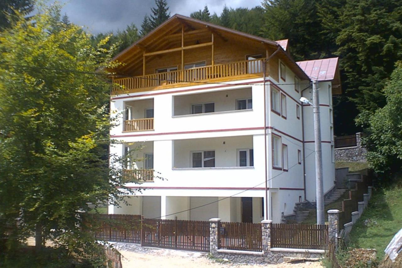 Casa Miu - Bed and Breakfast Sinaia
