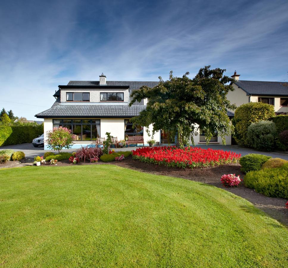 B&B Athlone - Shelmalier House - Bed and Breakfast Athlone