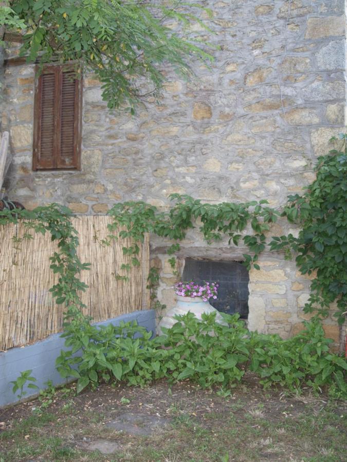 Sophies Apartments Ormos - Chambres d’hôtes
