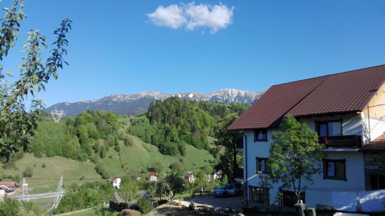 Ograda de la Munte - B&B