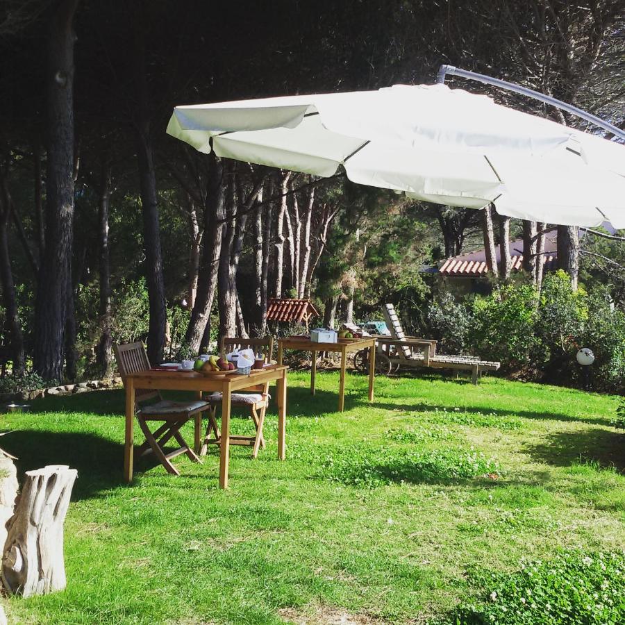 Mirto E Mare - Bed and Breakfast