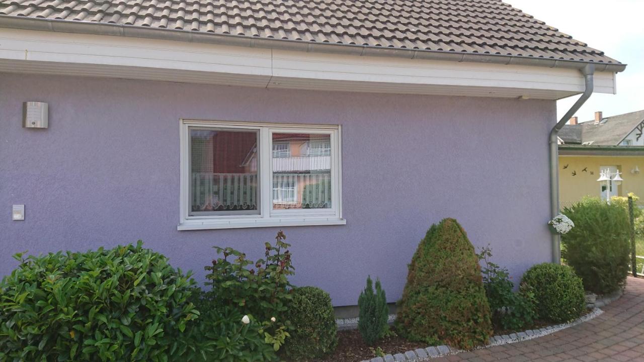 Strandläufer Darßer Weg - Ferienwohnung Zingst