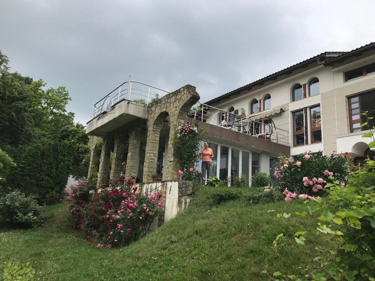 B&B Suceava - Rapsodia Pension - Bed and Breakfast Suceava