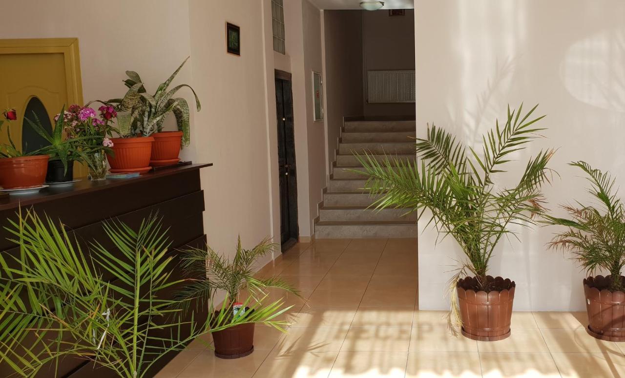 Aurex - B&B