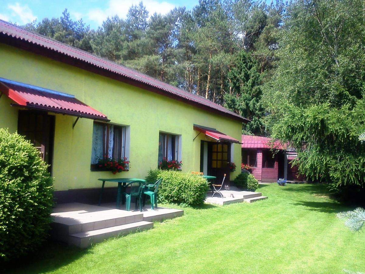 Wilcza Chata - B&B