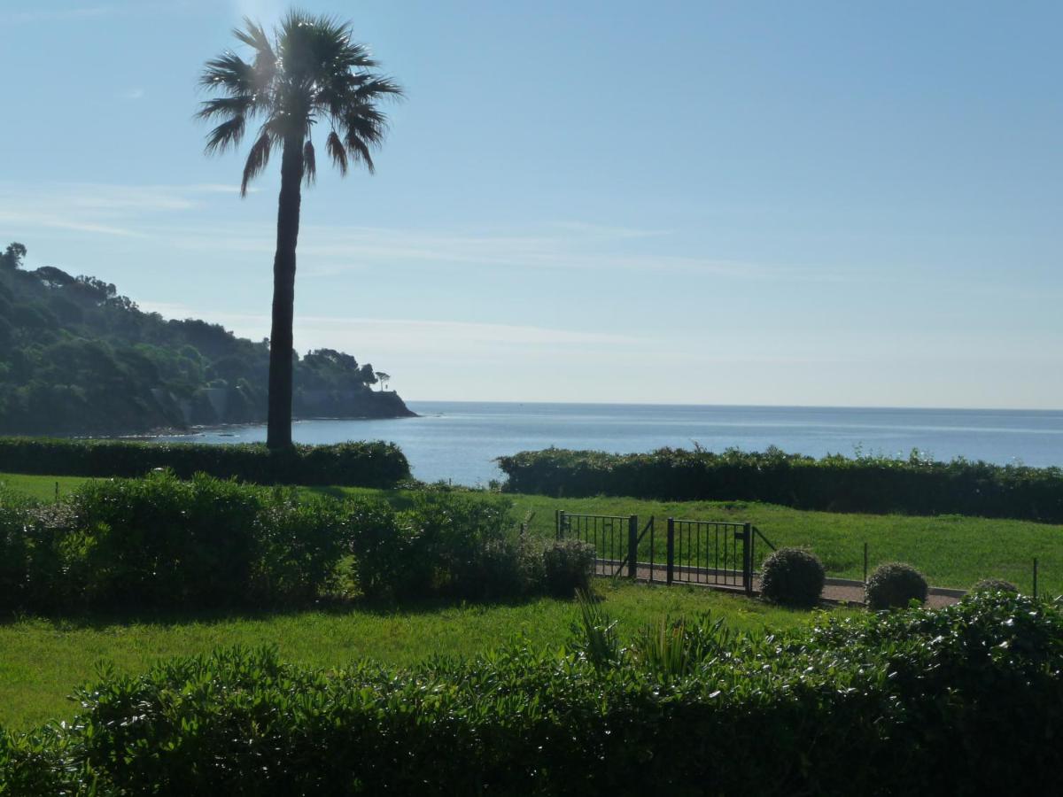 Grand Azur Etoile Marine - Bed and Breakfast Sainte-Maxime