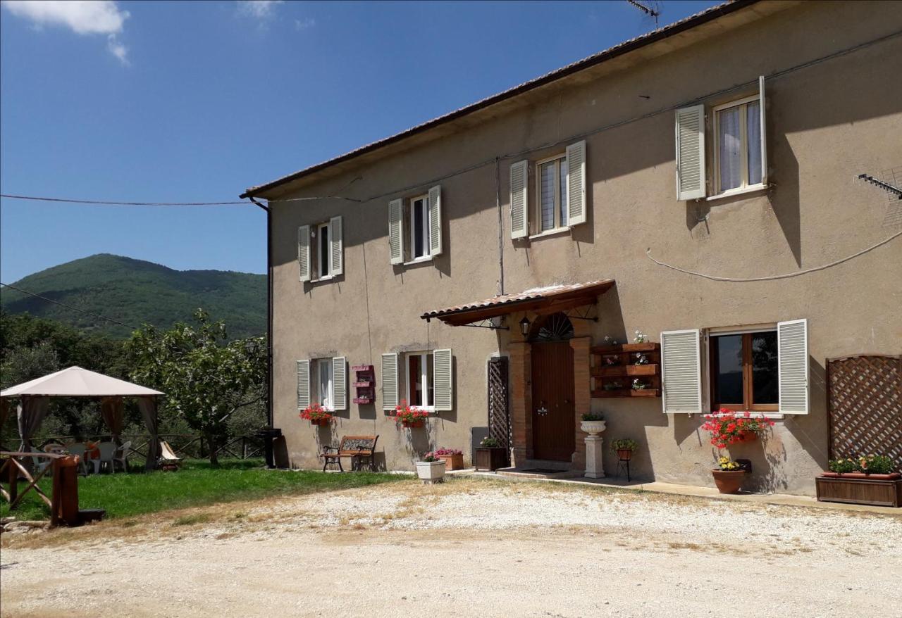 B&B Santa Restituta - Alle Preci Country house - Bed and Breakfast Santa Restituta