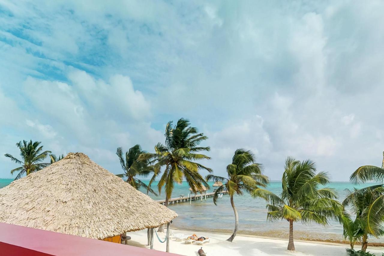 Palm @ Caribe Island - Bed and Breakfast San Pedro
