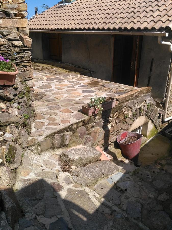 Le camélia de la mazarié - B&B Saint-Vincent