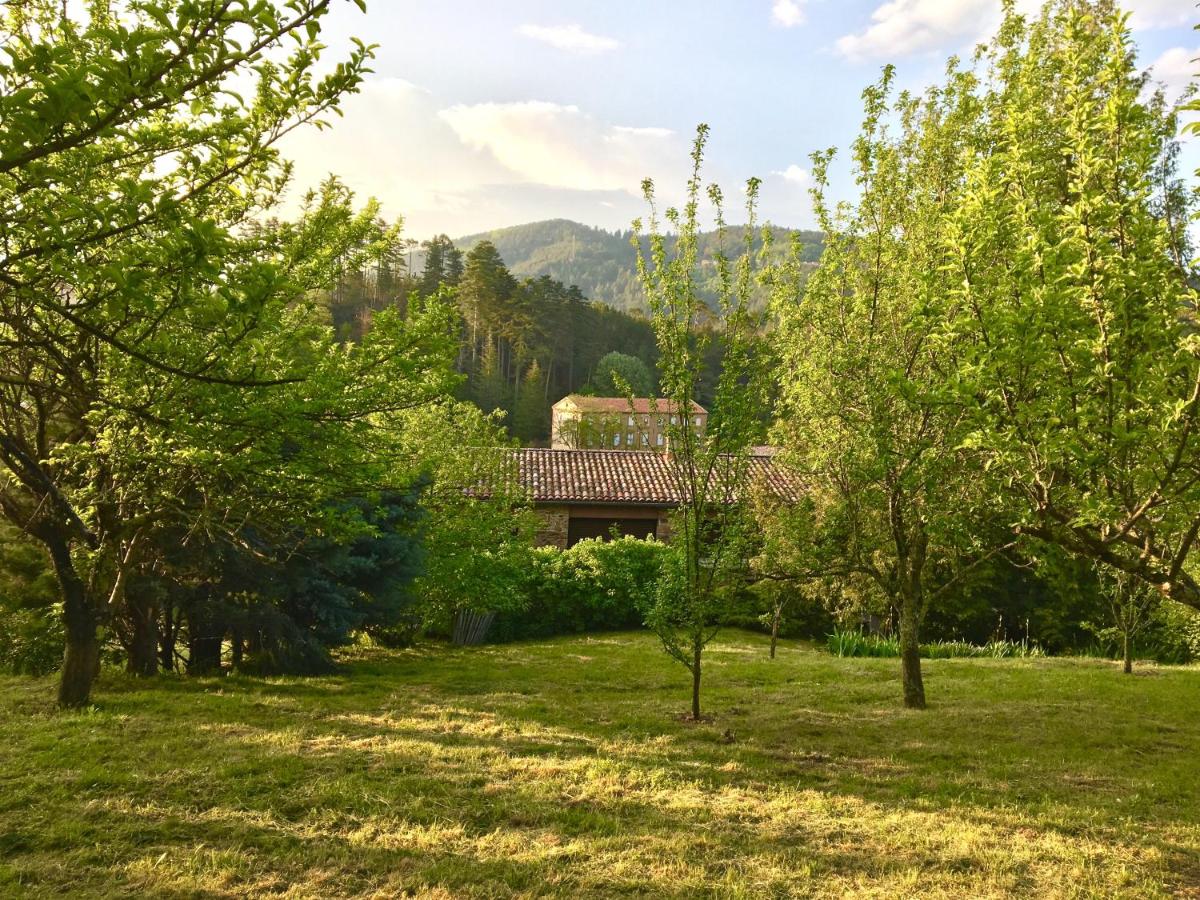 Gite de La Jasse - B&B