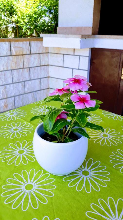 Appartamento Standard