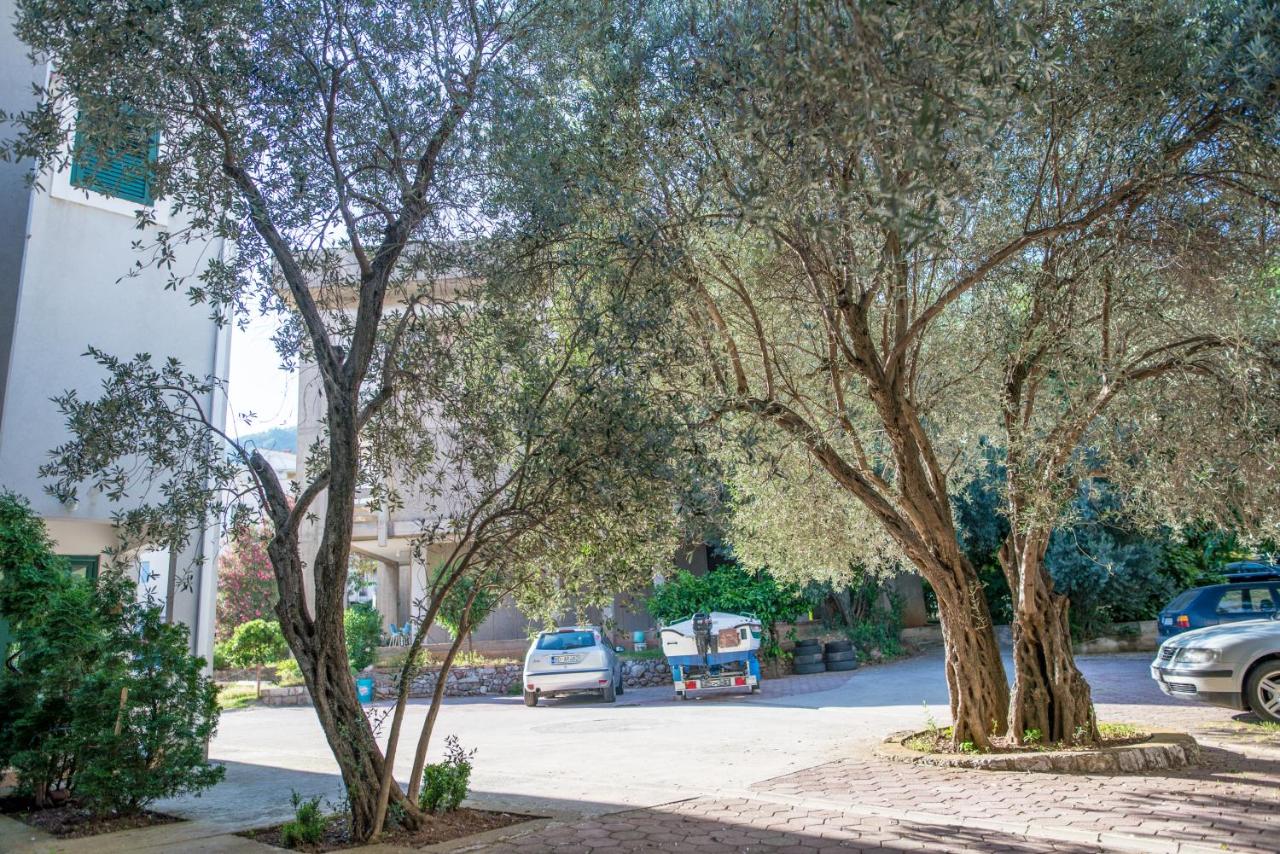 Apartman Zenta - B&B Petrovac na Moru
