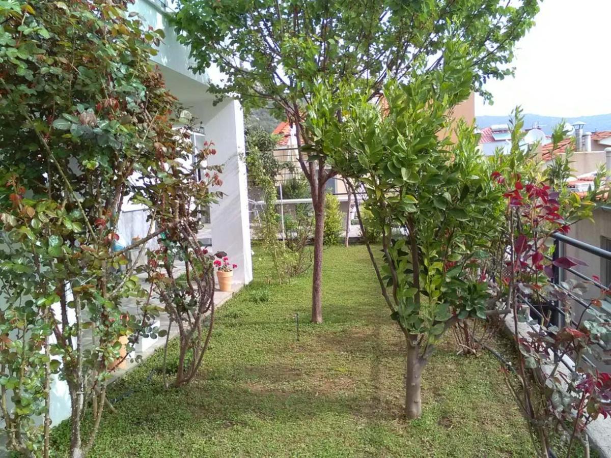 Jasmine Luxury Apartment - B&B