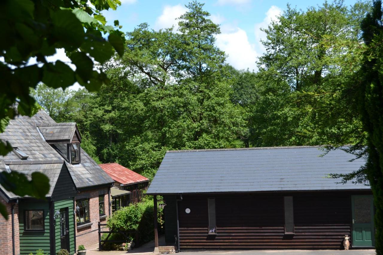 Arrowwood Self Catering (Wagtail and Nuthatch) - B&B