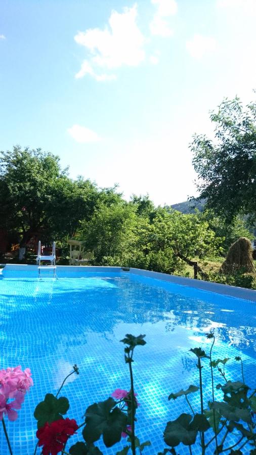 Doroga Dodomu - Bed and Breakfast Mykulychyn