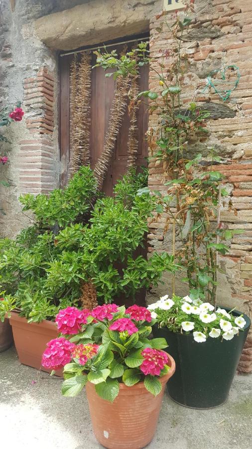 Fonda Felip - B&B