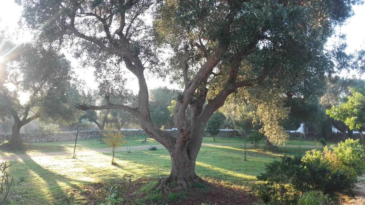 Sol Invictus Est - B&B Serranova