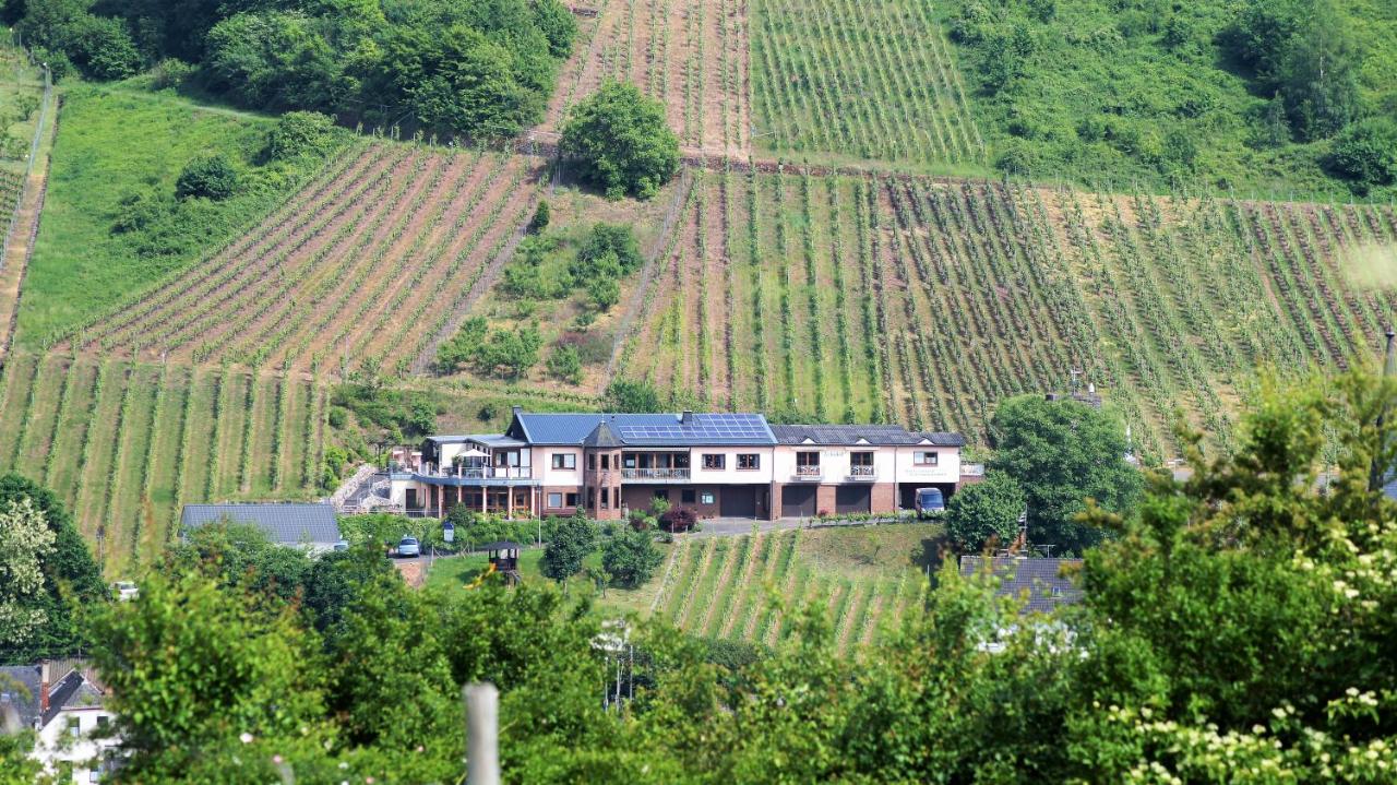 Urlaubsweingut Zecherhof - Chambres d’hôtes Neef