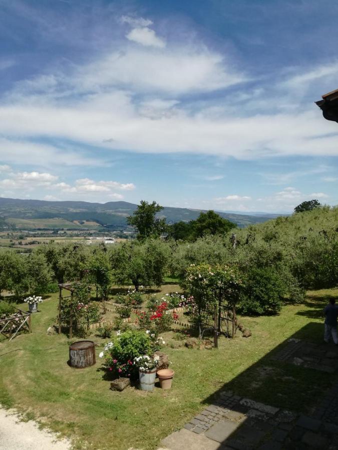 Orvieto Rocca Fiorita - Ferienwohnung