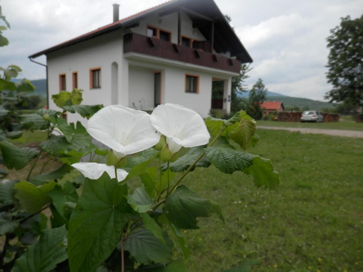 Guesthouse Matija - B&B