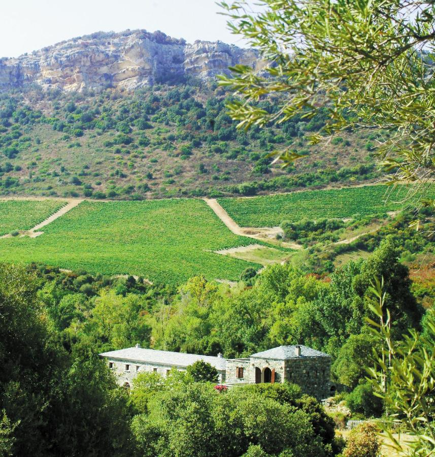 Casa-Albina-Corsica - B&B