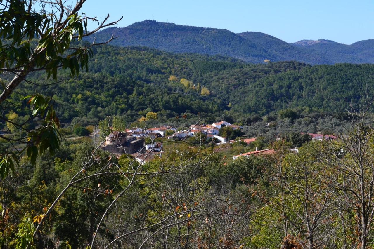 Casa Rural "Castaño Bienestar" - B&B