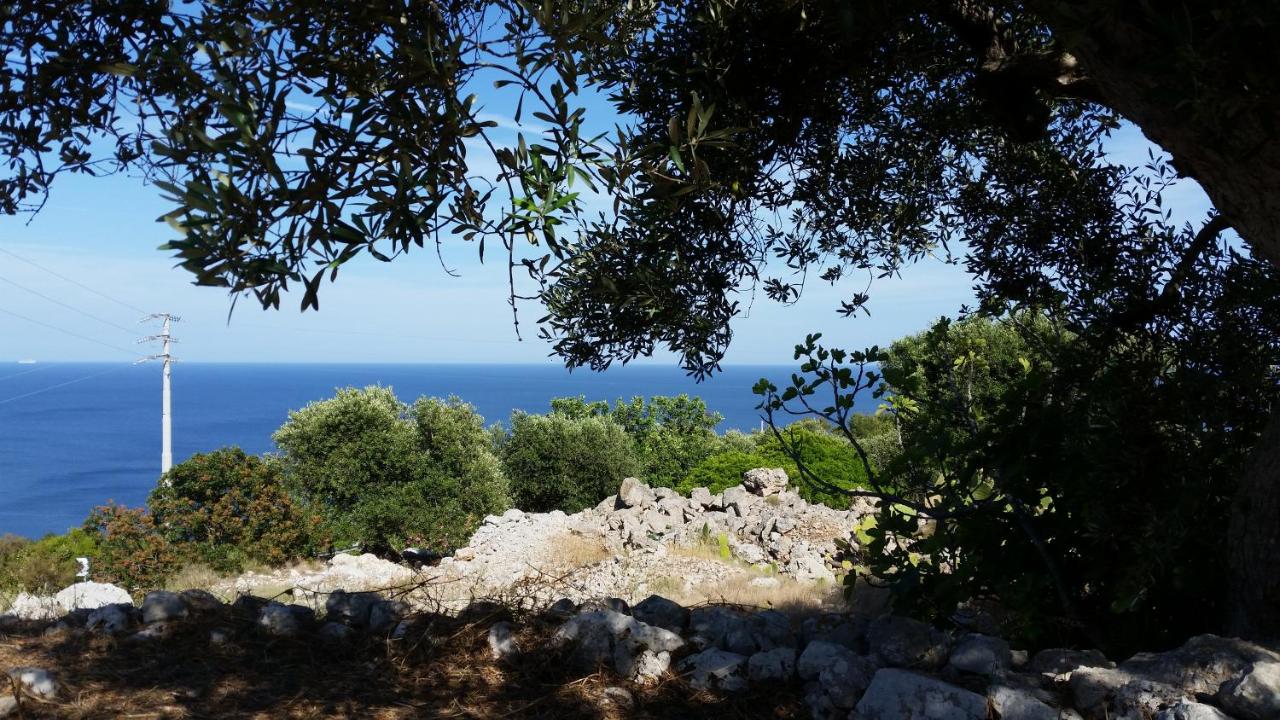 Casa Morena - Chambres d’hôtes