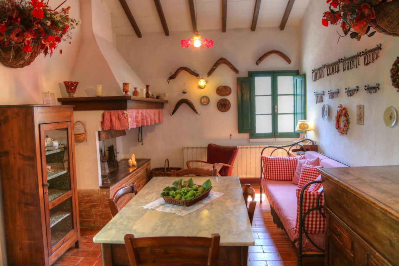 B&B Montescudaio - Piccolo Sole - Bed and Breakfast Montescudaio