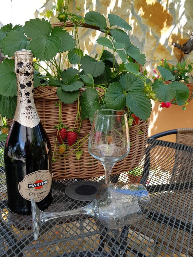 Apartments Toni - B&B Zadar